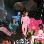 Lots of Pink around the fire