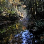 Bushkill Falls