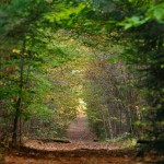 Tumbling Waters Trail